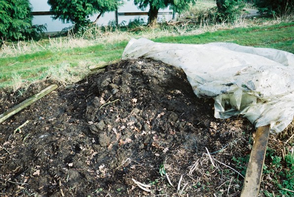 Photo 33